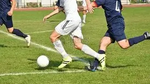 平博体育 产品 113303 te8