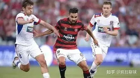 平博体育 产品 113421 tv8