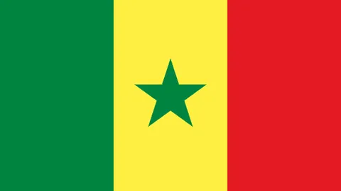 我国越野滑雪在亚冬会上斩获双金